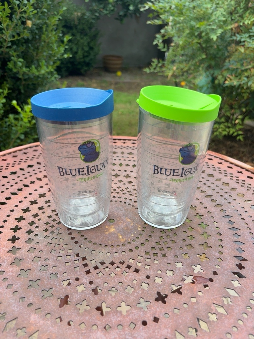 Tervis Carnival Cruiselines Blue Iguana Tequila Bar 16 oz Tumblers Set of 2